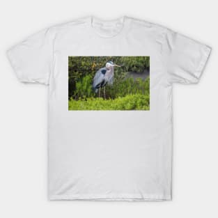 The Great Blue Heron In A Green Surround T-Shirt